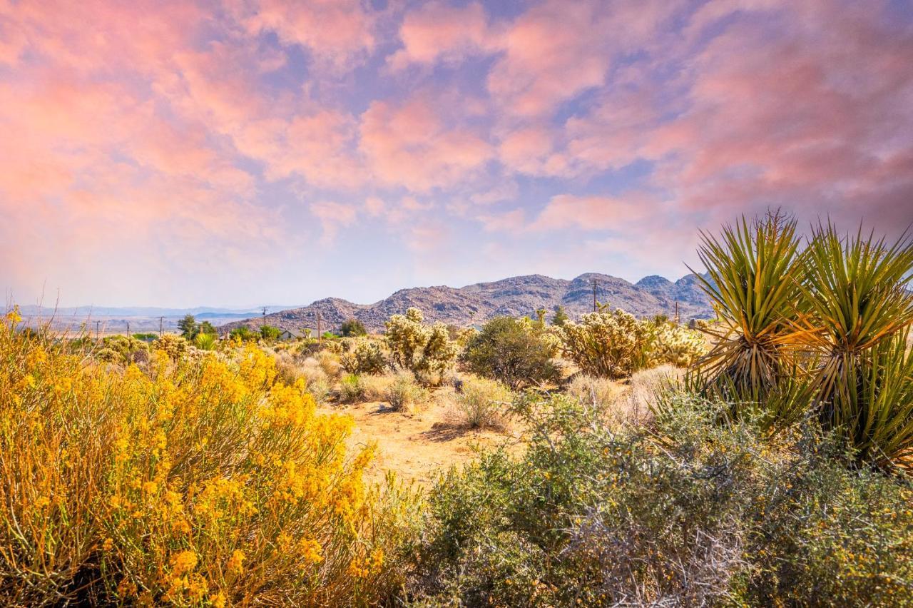 @ Marbella Lane - Modern Rustic Home In Jt Joshua Tree Exteriér fotografie